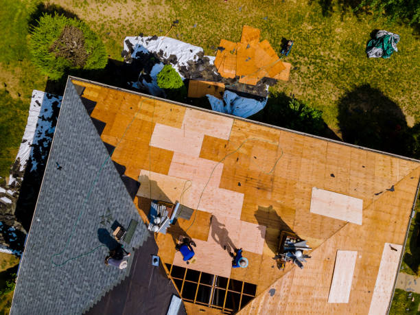 Best Storm Damage Roof Repair  in Butler, NJ